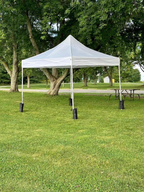 10*20 Pop-up Canopy - Image 3